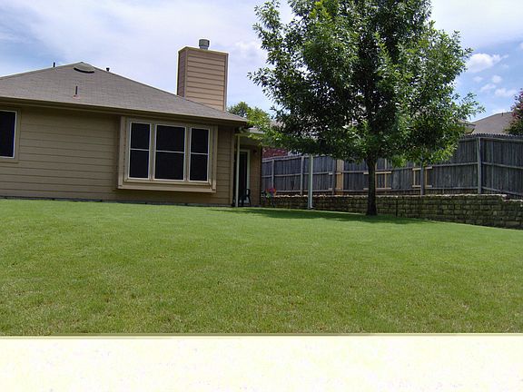 Back yard