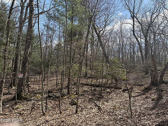 5th image of LOT 683 Lake Forest Dr