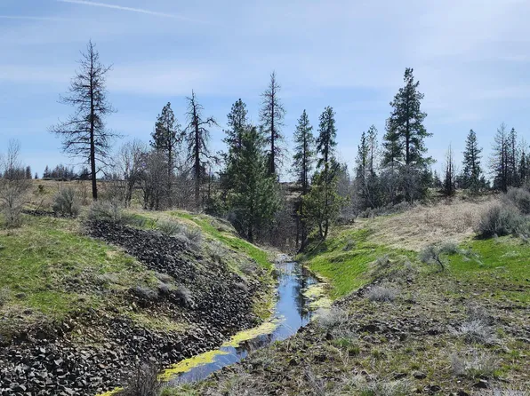 0 Telford Rd N #8, Davenport, WA 99122