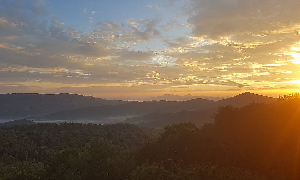 View from deck