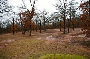 4th image of 15000 E State Highway 9