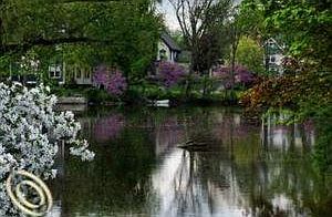 4th image of 0 Randolph Dr