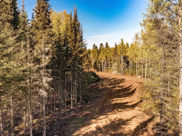 American Blvd, Finland, MN 55603