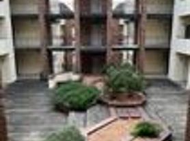 3001 Cedar St