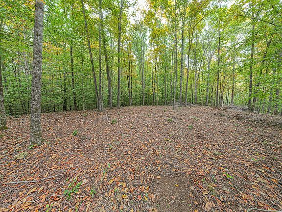 5th image of 0 David Allen Dr Lot 2