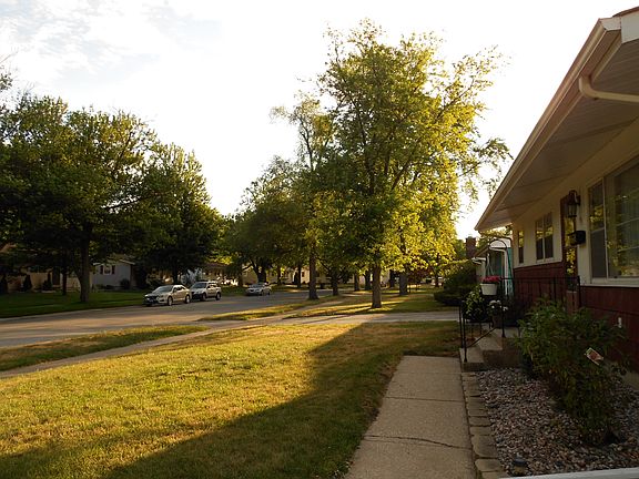 Lovely Tree-Lined Street