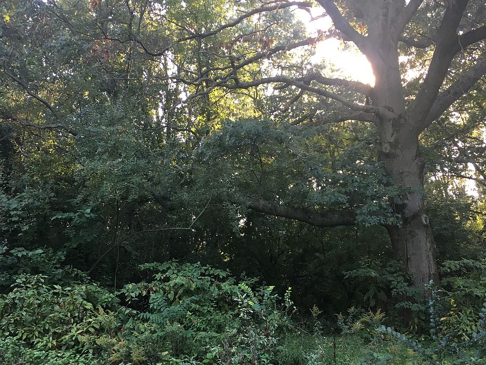 2nd image of 0 Brown School Rd