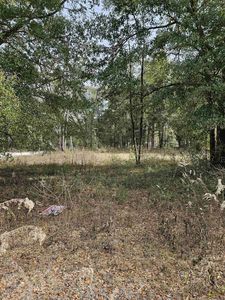 10057 Spring Sink Rd, Tallahassee, FL, 32305