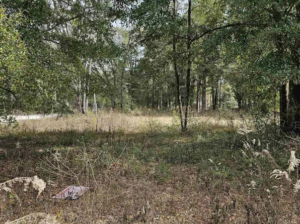 10057 Spring Sink Rd, Tallahassee, FL 32305