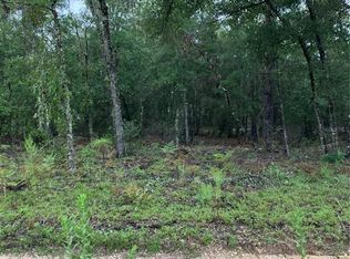 Tbd Ne 95th Ave, Bronson, FL 32621