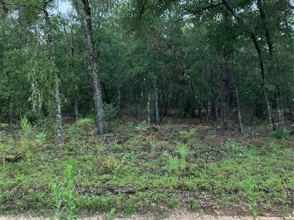 Tbd Ne 95th Ave, Bronson, FL 32621