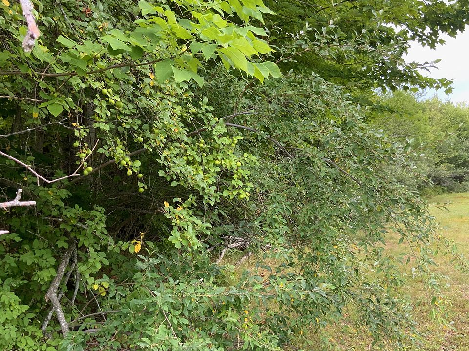 M 6 L 324 Rowell Mt. Rd. Lot 324, Solon, ME 04979 Zillow