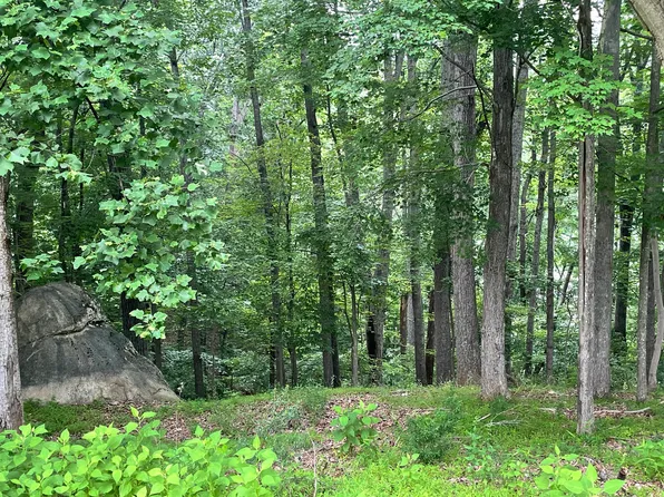 L-115 117 Bailey Blvd #116, Hardy, VA 24101