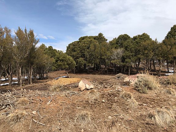 5th image of 697 E Cedar Highlands Dr