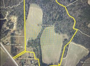 3681 Bloomville Rd, Manning, SC 29102