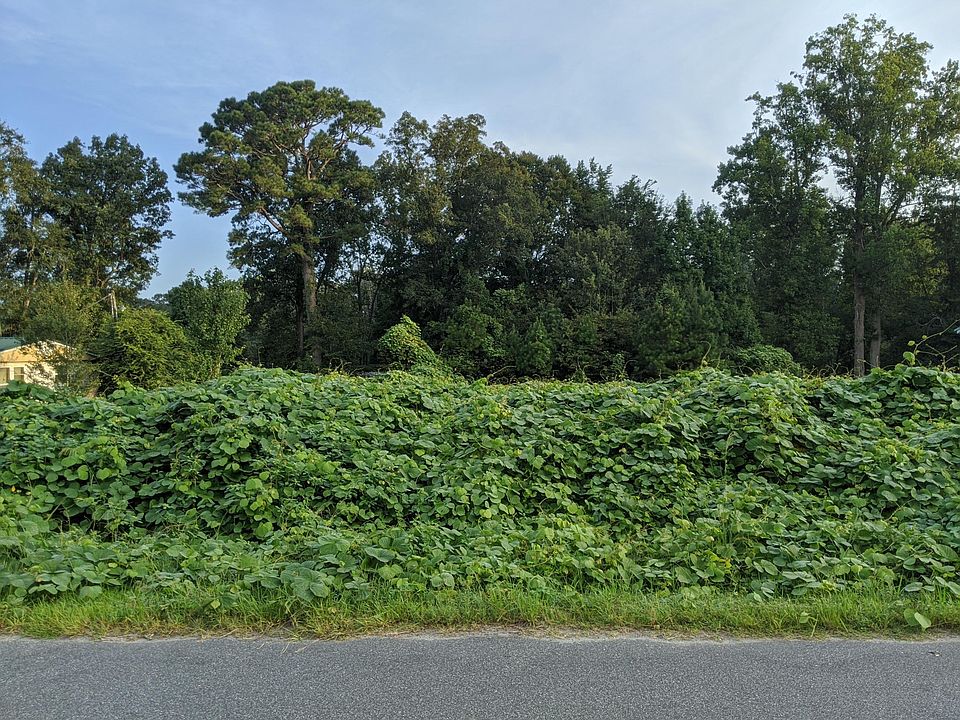 2nd image of 134 Pike Dr