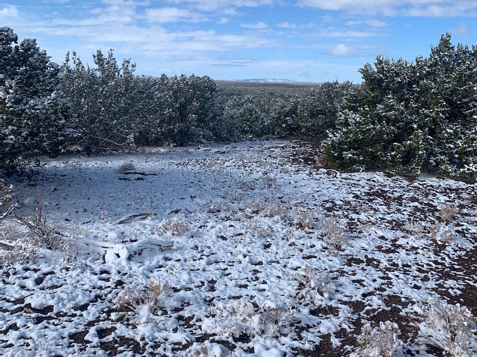 1st image of 11790 S Blackbird Way Lot 443