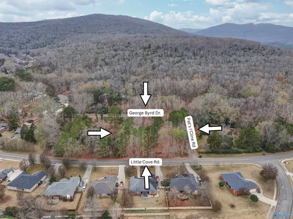 2571 Little Cove Rd, Owens Cross Roads, AL 35763