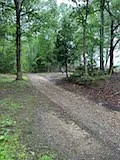 523 Cerrina Rd — Photo 13