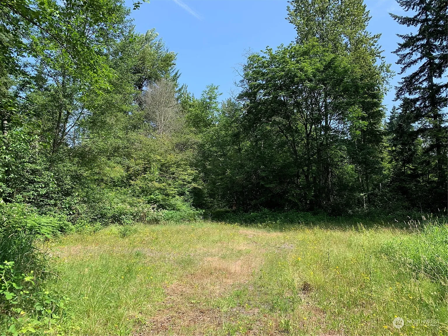18004 SE Petrovitsky Road photo 1