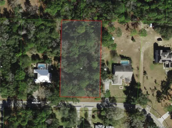 787 E Reehill St, Lecanto, FL 34461