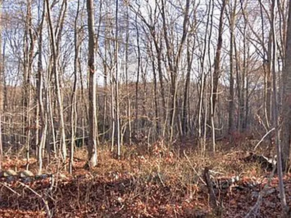 113 Scott Rd, East Lyme, CT 06333