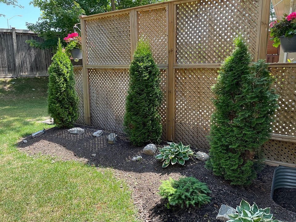 Privacy Fence