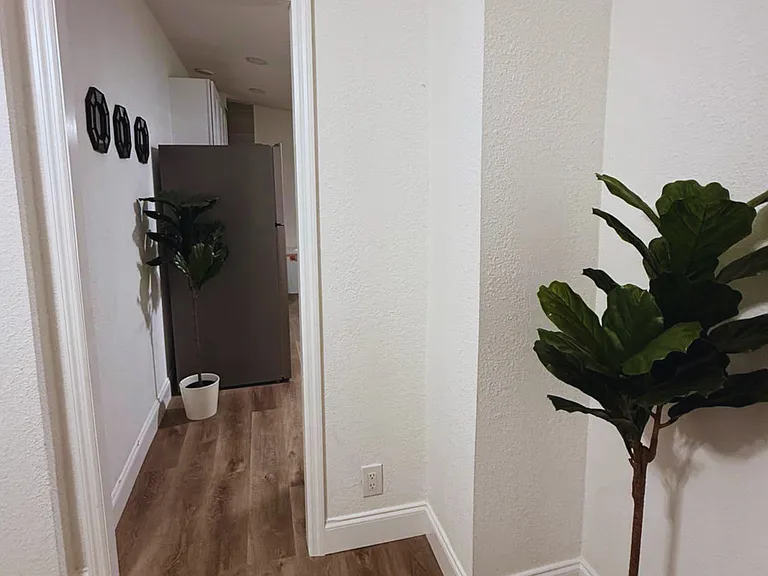 Beautiful decorative plants add warmth and charm to the space.