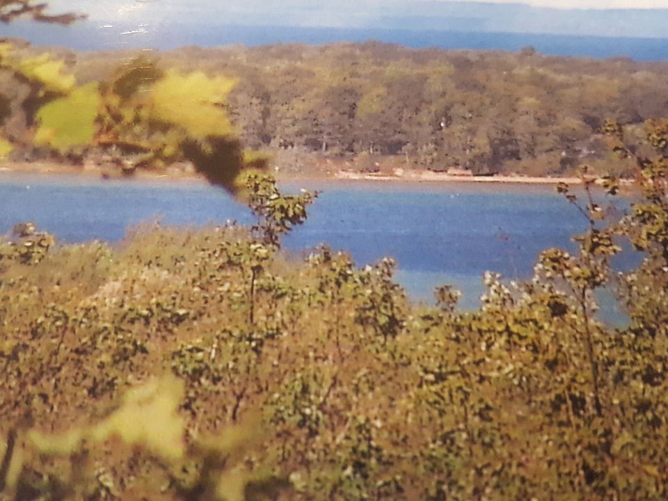 Looking towards Lee Point