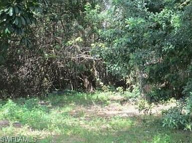 2nd image of 5520/5522 7th Ave