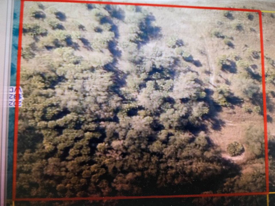 2nd image of NW 292nd St