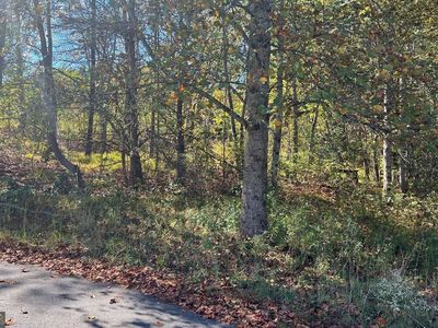 Township Road 1 #&-2, Young Harris, GA, 30582