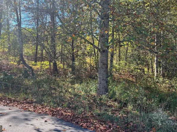 Township Road 1 #&-2, Young Harris, GA 30582