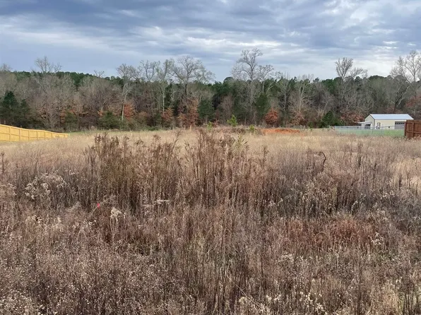 Eagles Perch, Diana, TX 75640