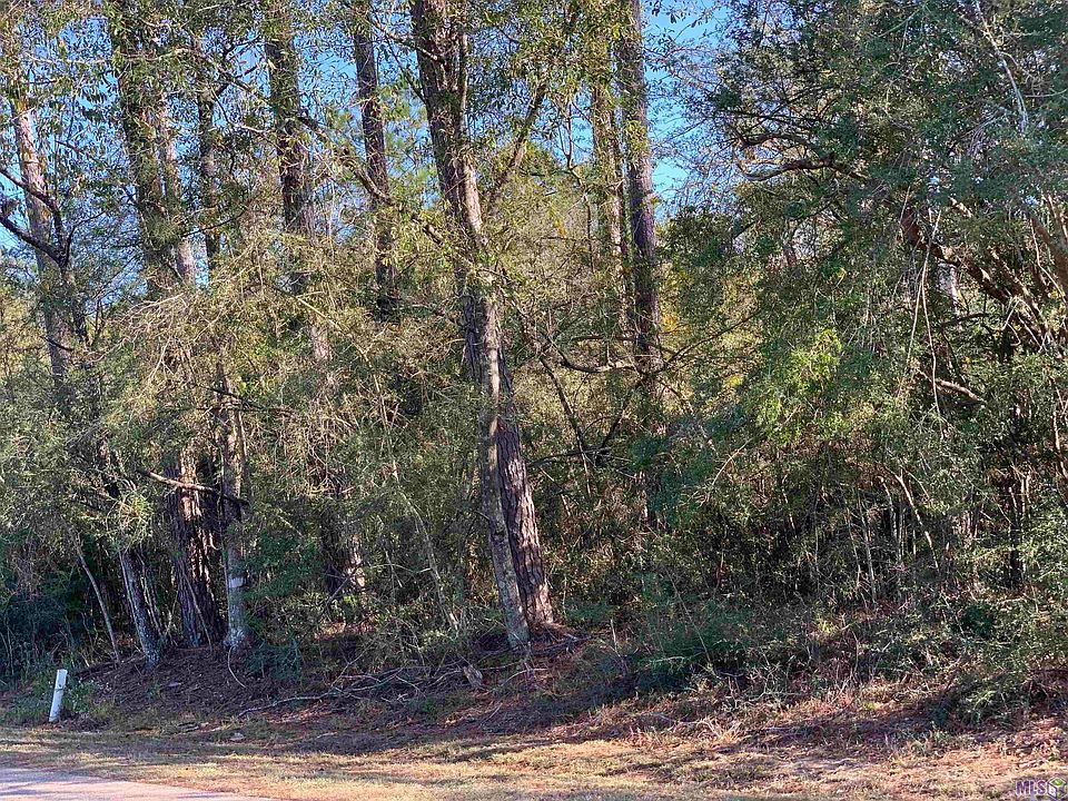 2nd image of LOT 18 Gordon Jones Dr