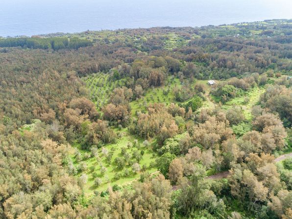 47-4630 Cane Haul Rd, Honokaa, HI 96727