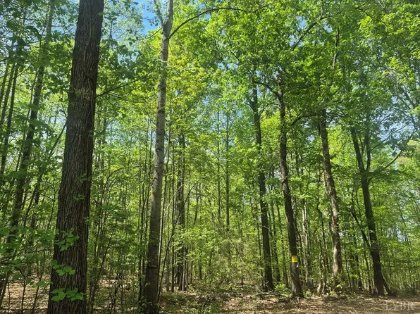 0 Deer Run Lot 13, Farmville, VA 23901