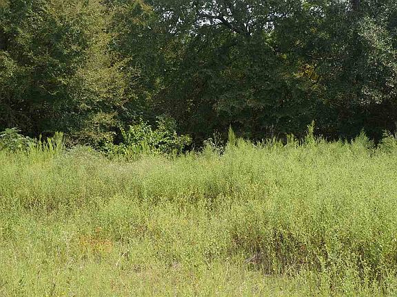3rd image of 24288 State Highway 31 E