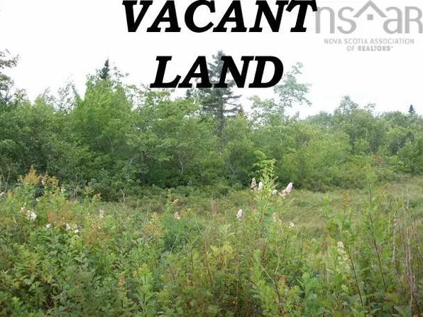 LOT Mill Vlg, East Road, NS B0J 2H0