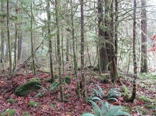 7137 Saint Helens Pl, Glacier, WA 98244