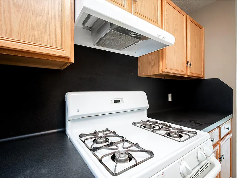 17219 Lilac Vale Ct — Photo 12