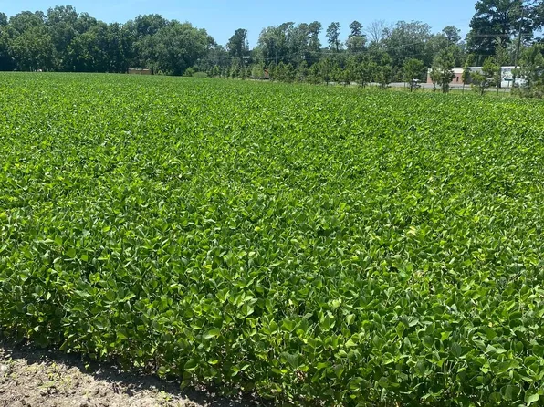 0 Lawson Barnes Rd, Crisfield, MD 21817