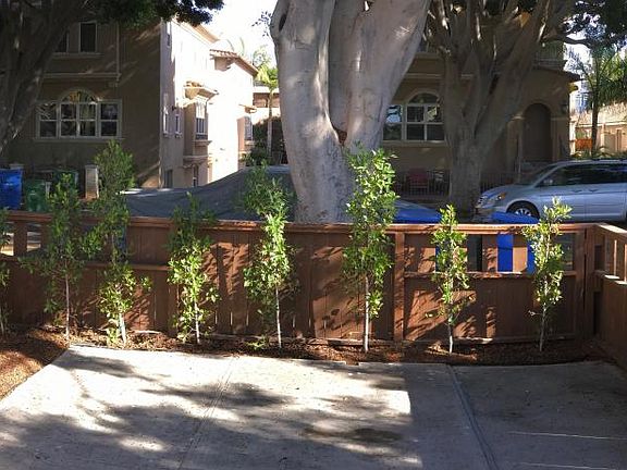 Private Fenced Front Yard