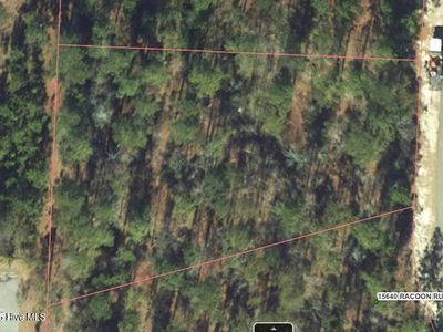 28 Racoon Run, Wagram, NC, 28396