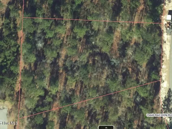 28 Racoon Run, Wagram, NC 28396