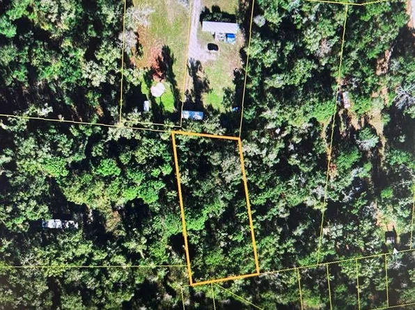 Xx Briem Fountain Rd, Crawfordville, FL 32327