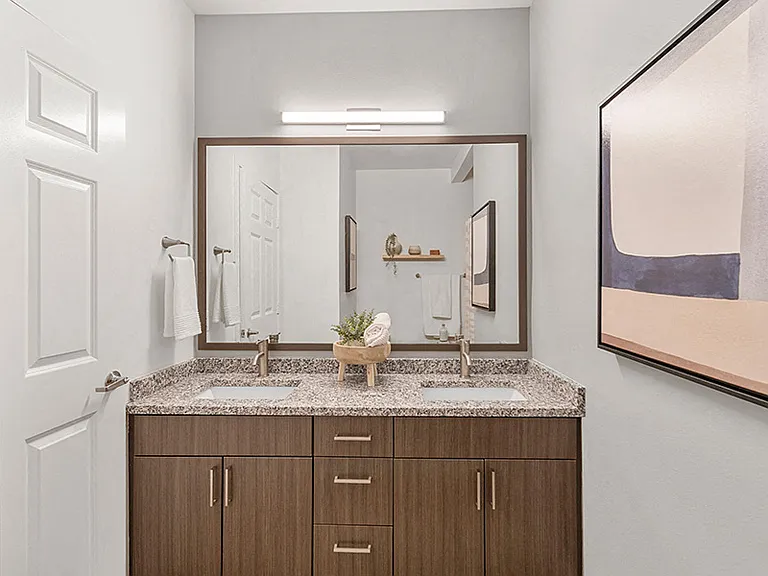 Double vanity baths with upgraded modern fixtures