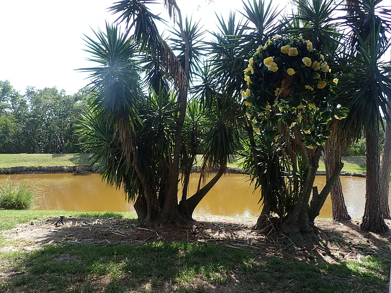 9614 Tara Cay Ct — Photo 211