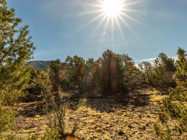 10443 N Covey Ln #22, Williams, AZ 86046