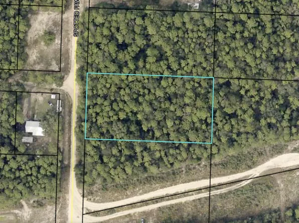 507B Spotted Fawn Lane, Holt, FL 32564